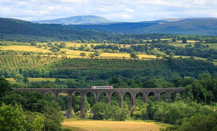 A train passing over a viaduct with mountains in the distance.